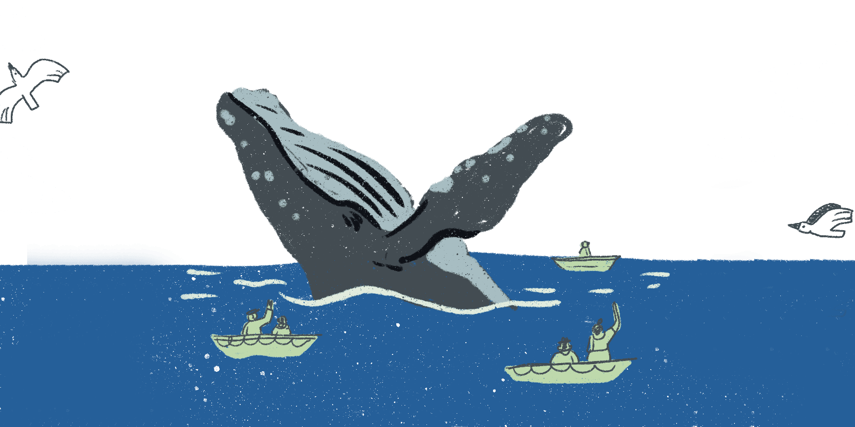 Ballena junto a lanchas de pescadores en el Golfo de California